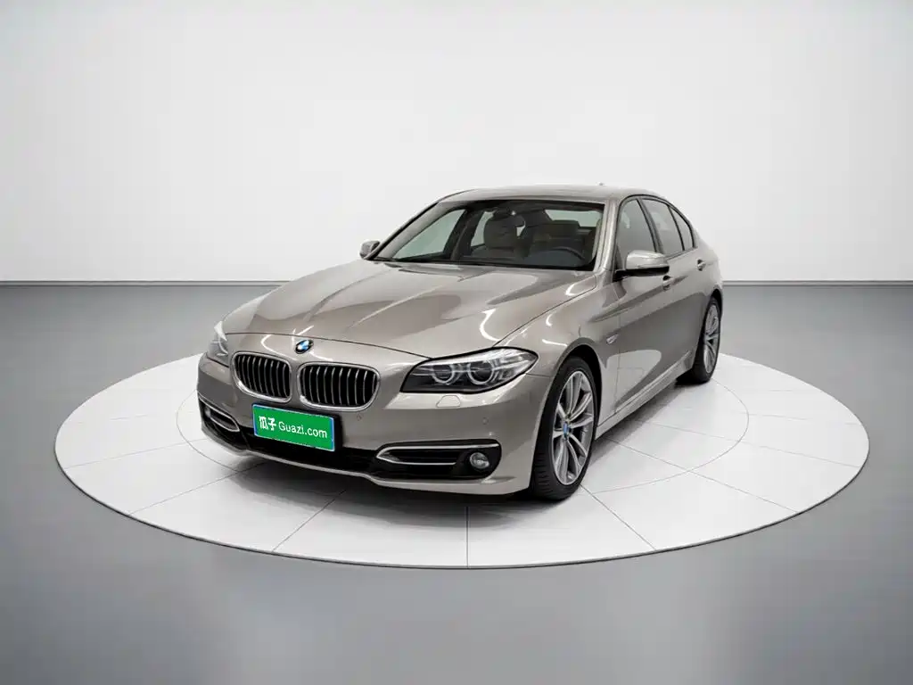 BMW 5 Series 2016 — фото 1