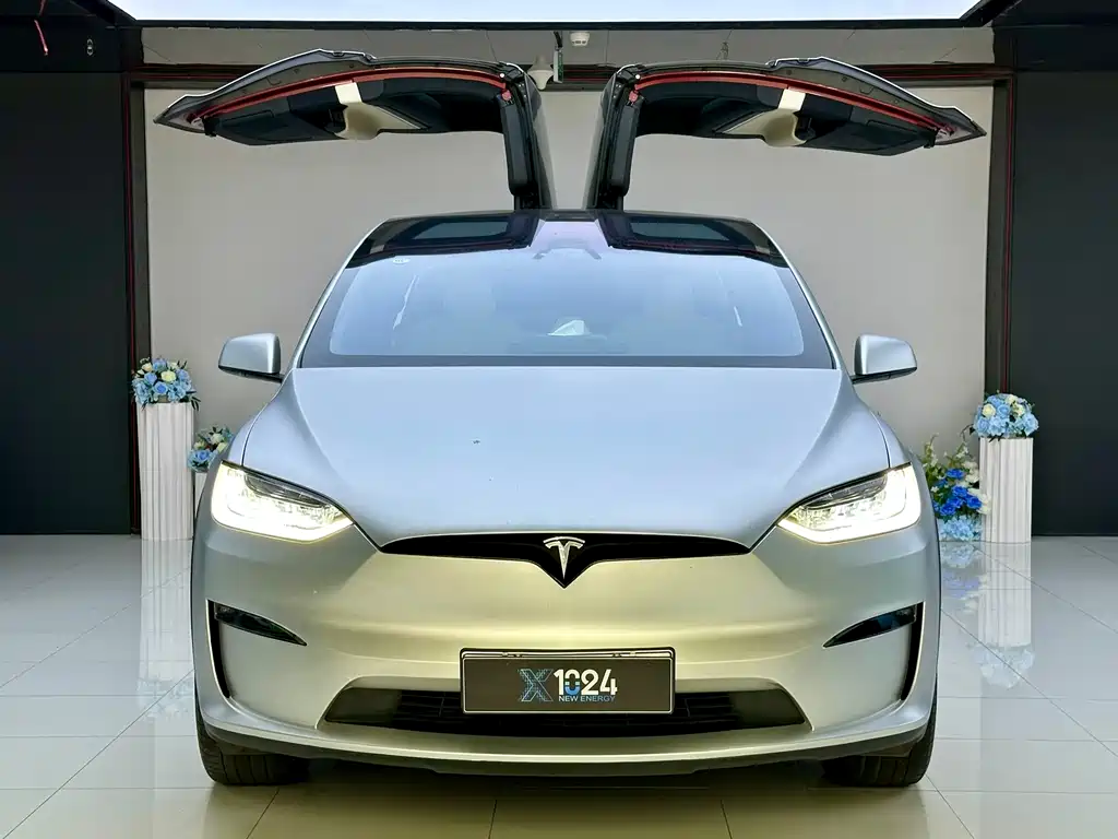 Tesla Model X 2023 — фото 2