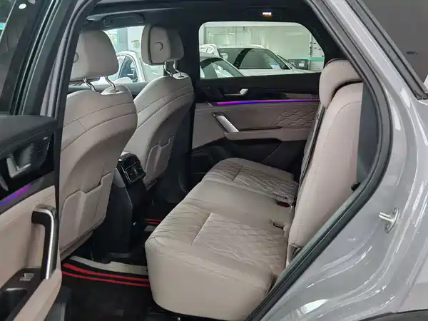 BYD Tang New Energy 2025