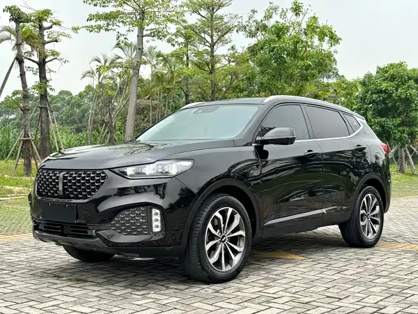 Wey VV6 2020