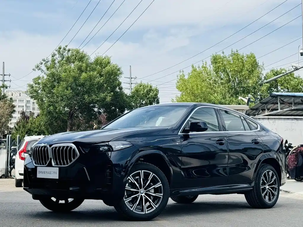 BMW X6