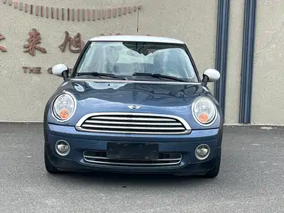 MINI MINI 2010