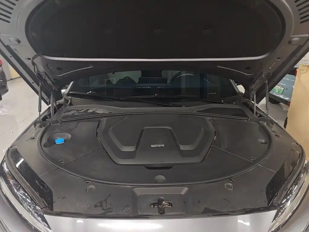 BYD PLUS New Energy 2024 — фото 20