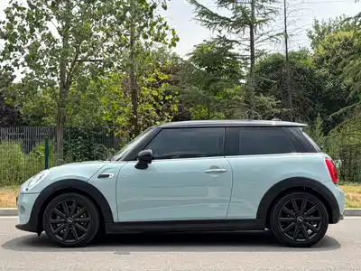 MINI MINI 2018