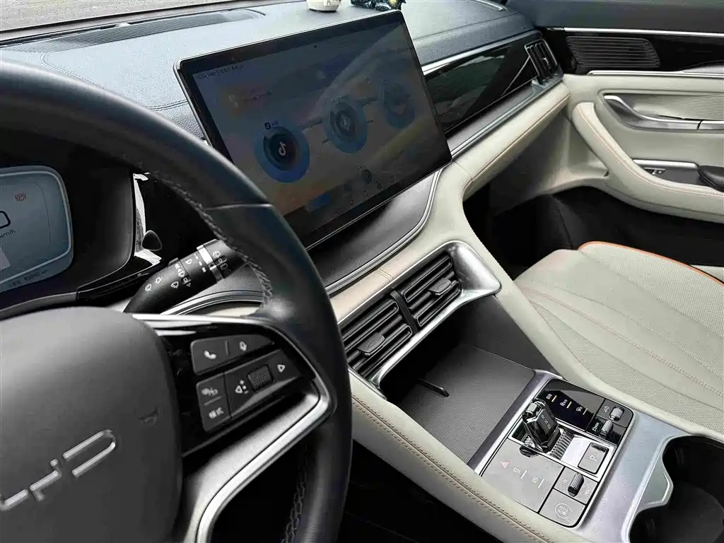 BYD PLUS New Energy 2023 — фото 13