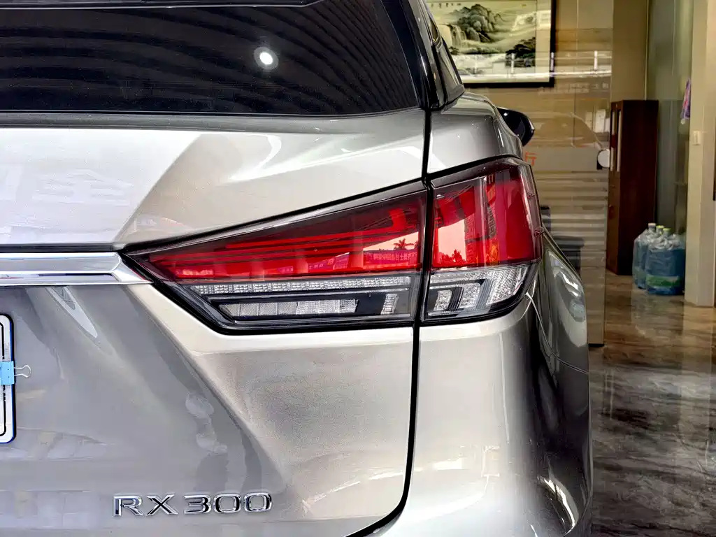 Lexus RX 2020 — фото 13
