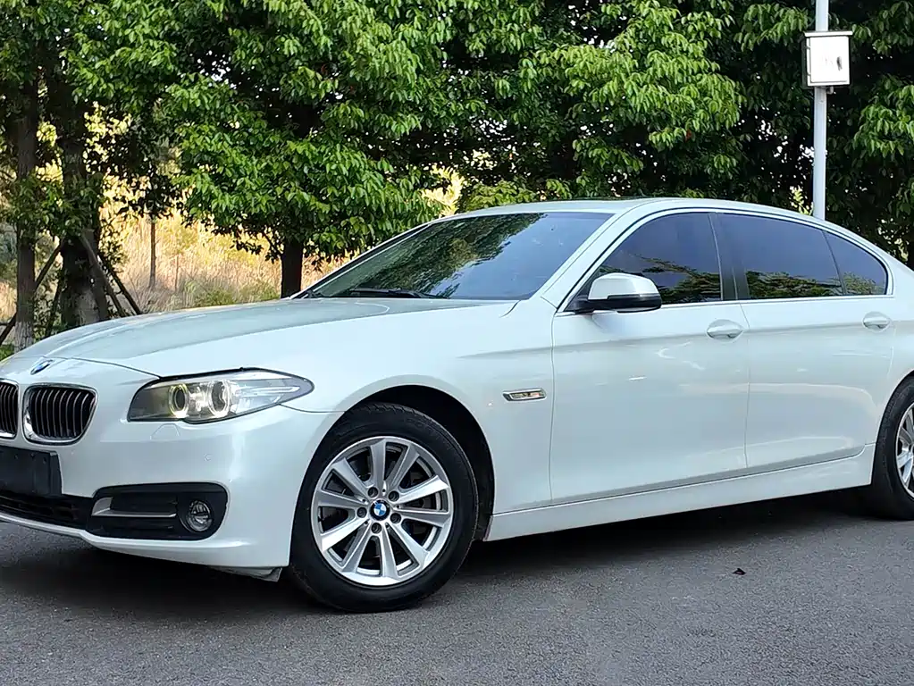 BMW 5 Series 2014