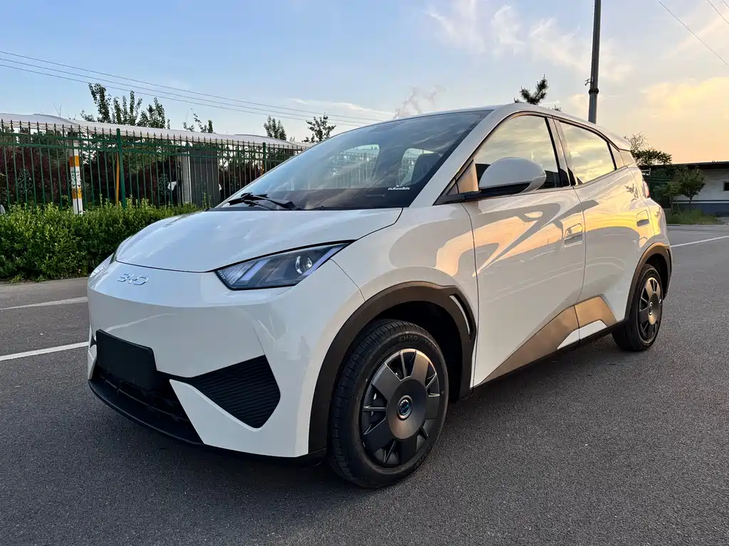 BYD Seagull 2026