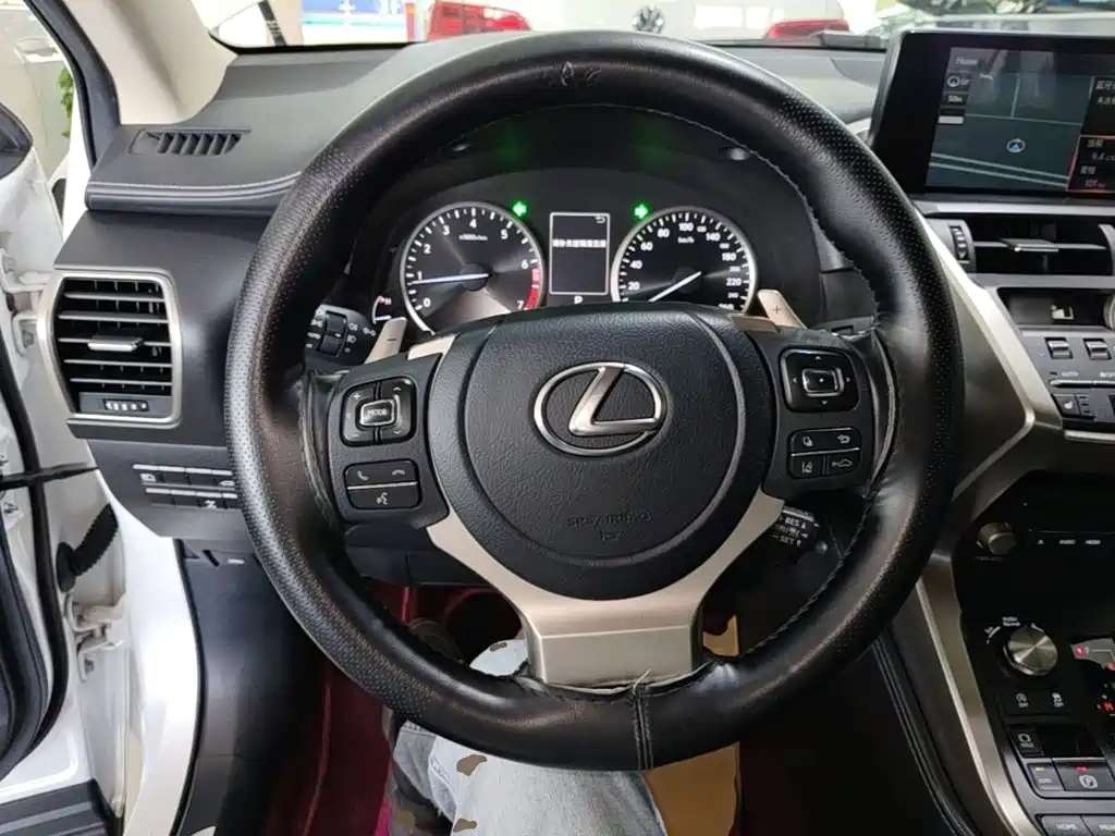 Lexus NX 2020 — фото 11