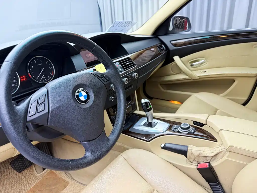 BMW 5 Series 2010 — фото 13