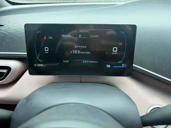 BYD Seagull 2024