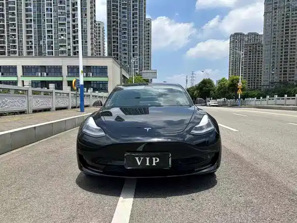 Tesla Model 3 2020