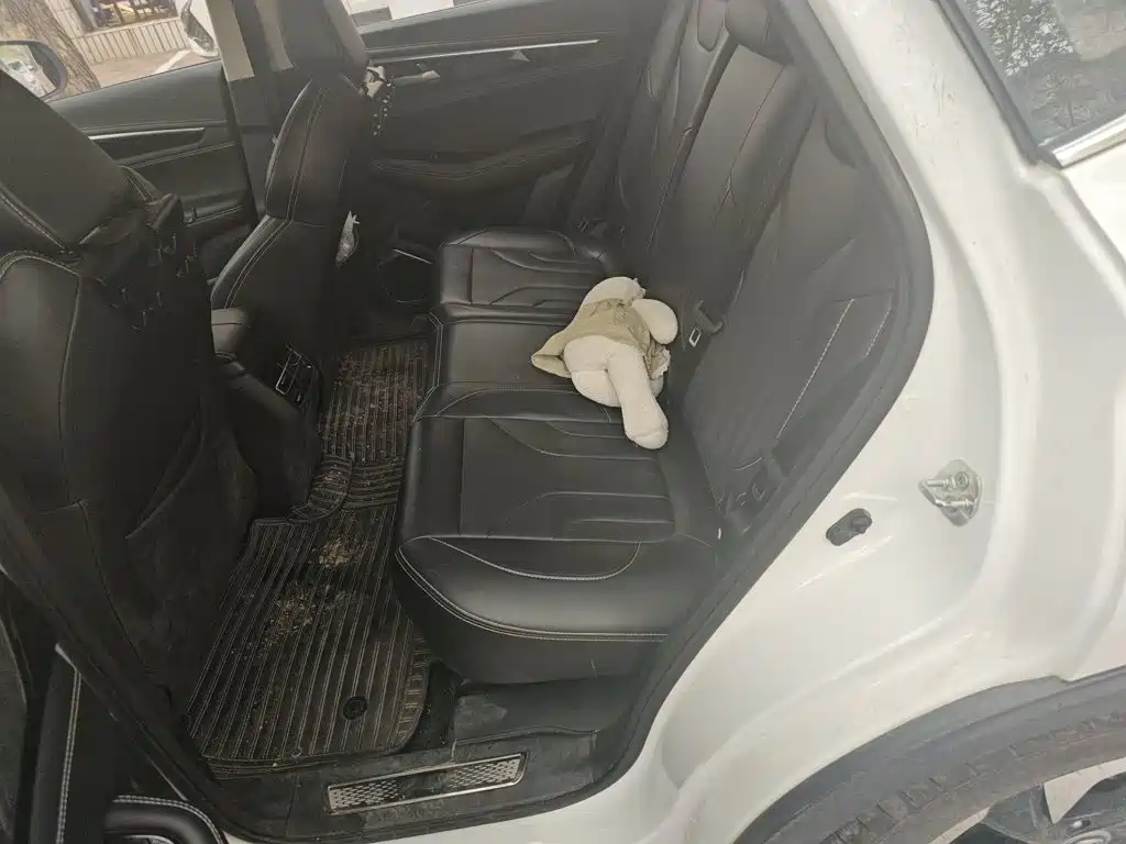 Changan CS85 COUPE 2019 — фото 15