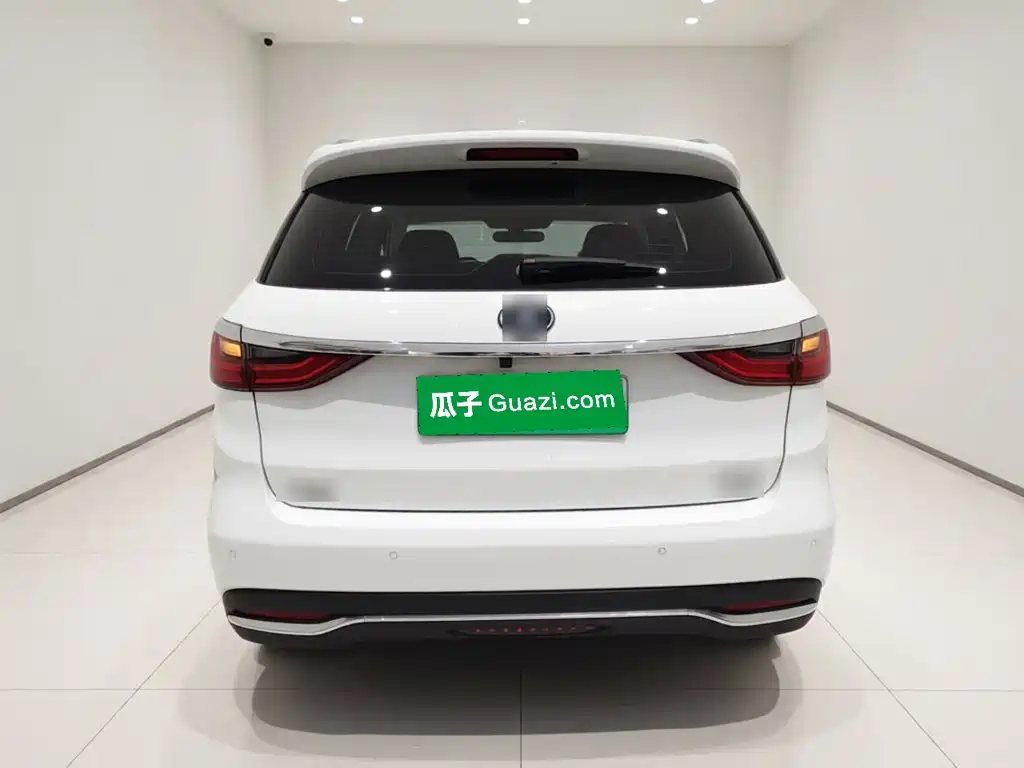 BYD Song MAX New Energy 2019 — фото 6