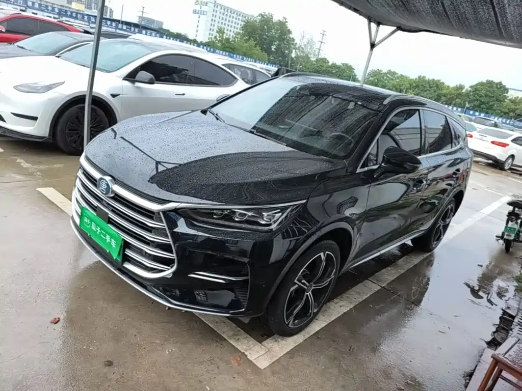 BYD Tang New Energy 2021