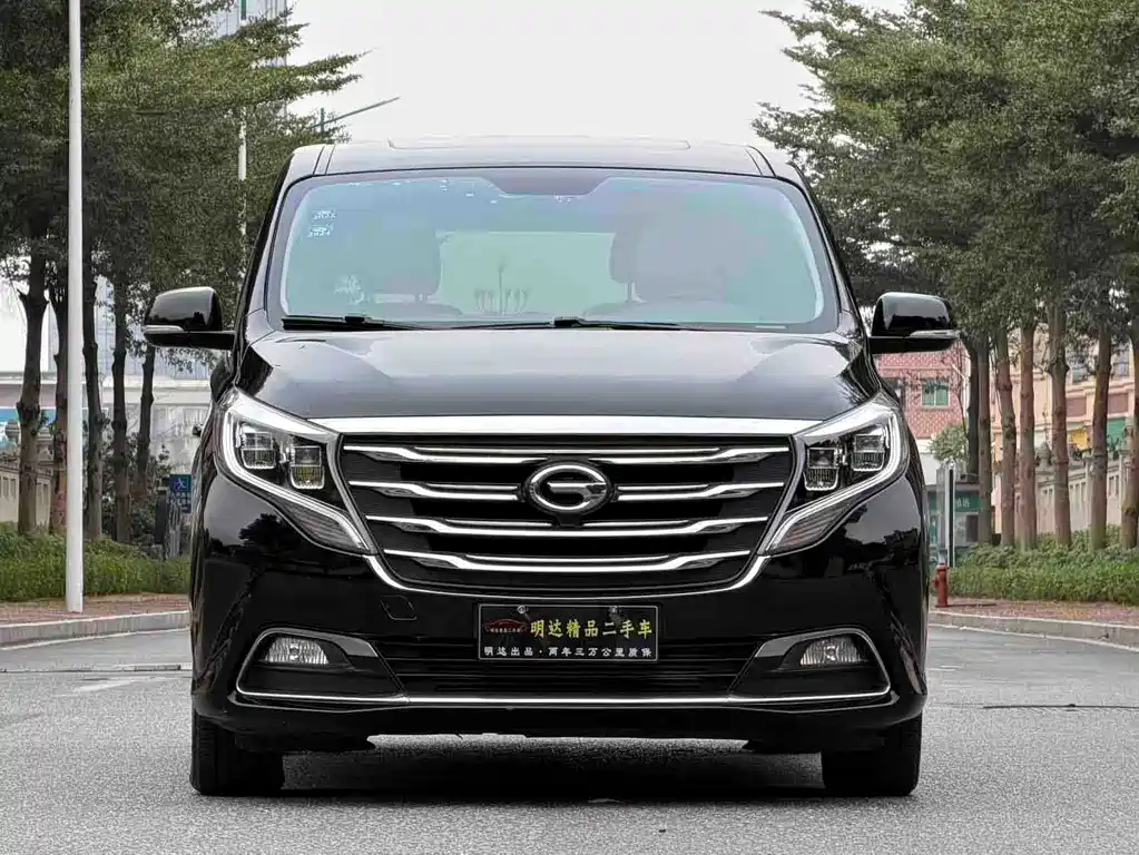 GAC Trumpchi M8 2018 — фото 16