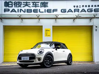 MINI MINI 2021