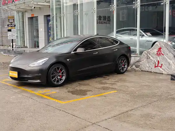 Tesla Model 3 2019