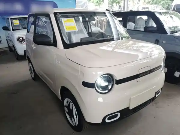 Geely Galaxy Panda 2026