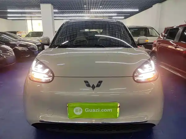 Wuling Bingo 2024