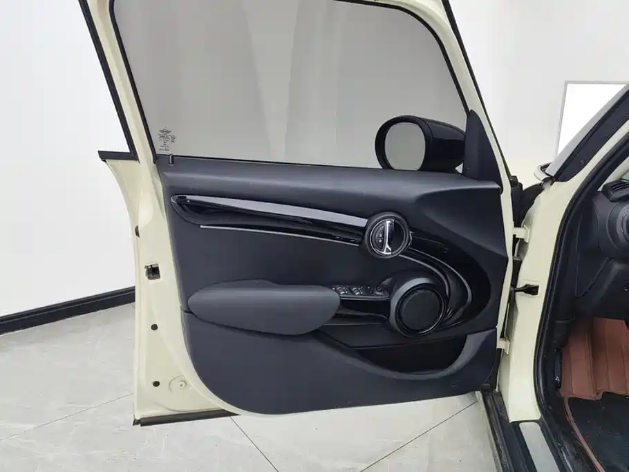 MINI MINI 2022