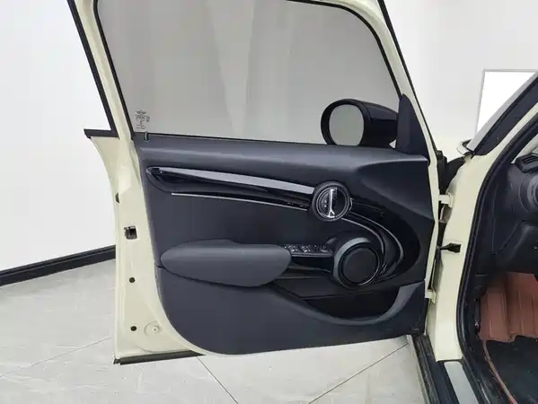 MINI 2022