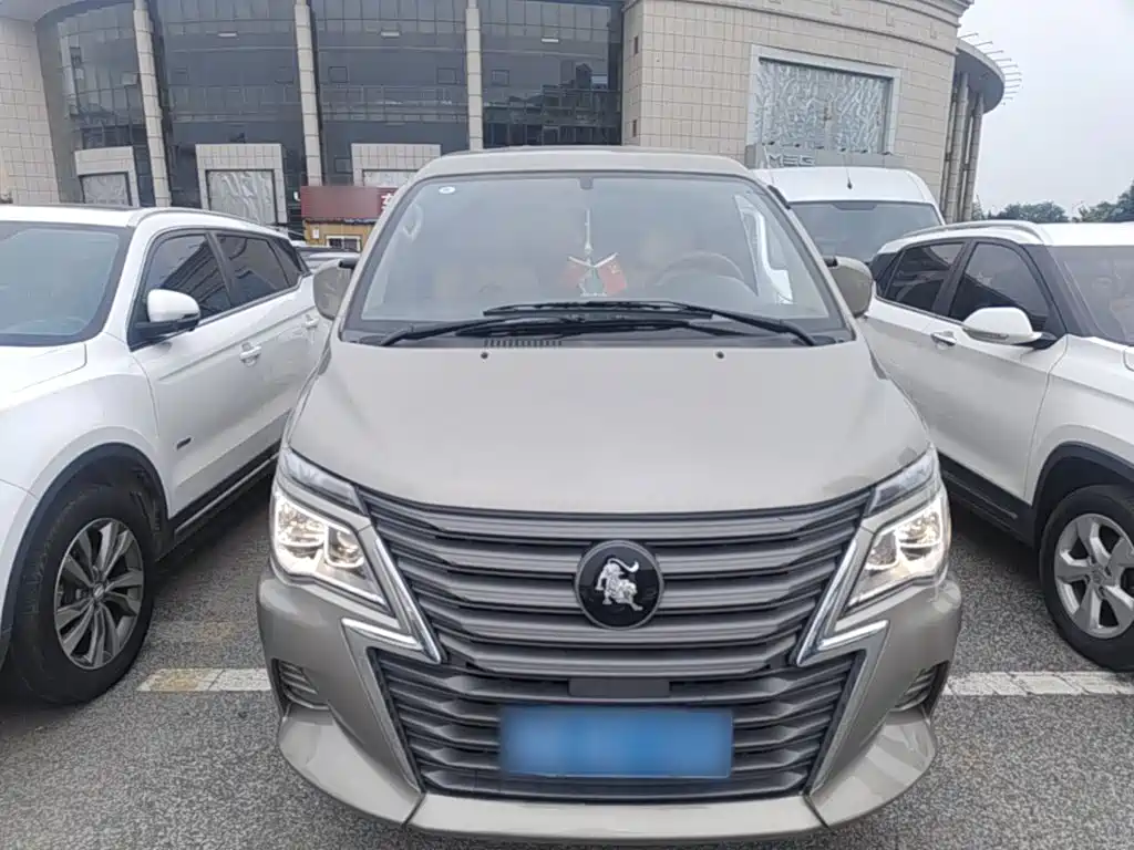 Fengxing Lingzhi 2023