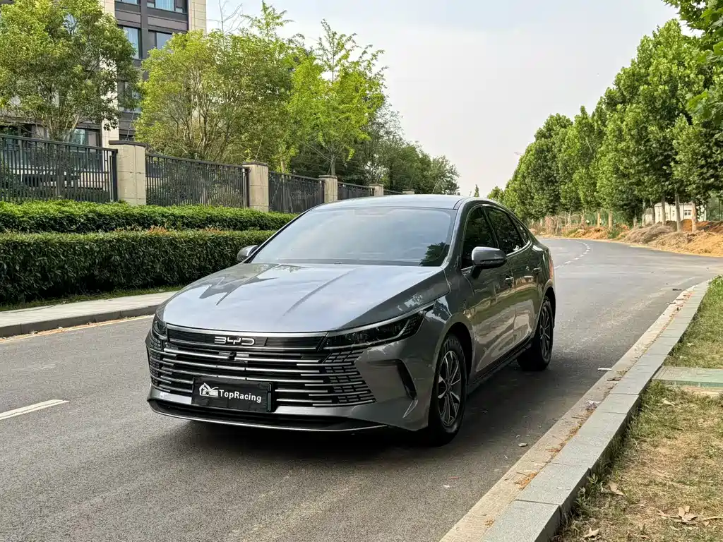BYD Destroyer 05 2024 — фото 1