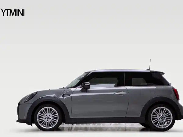 MINI 2021