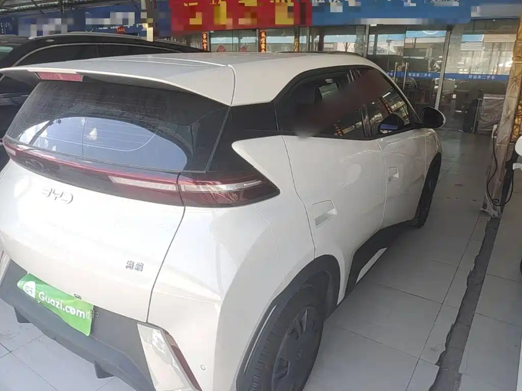 BYD Seagull 2025