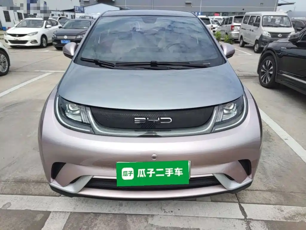 BYD Dolphin 2022