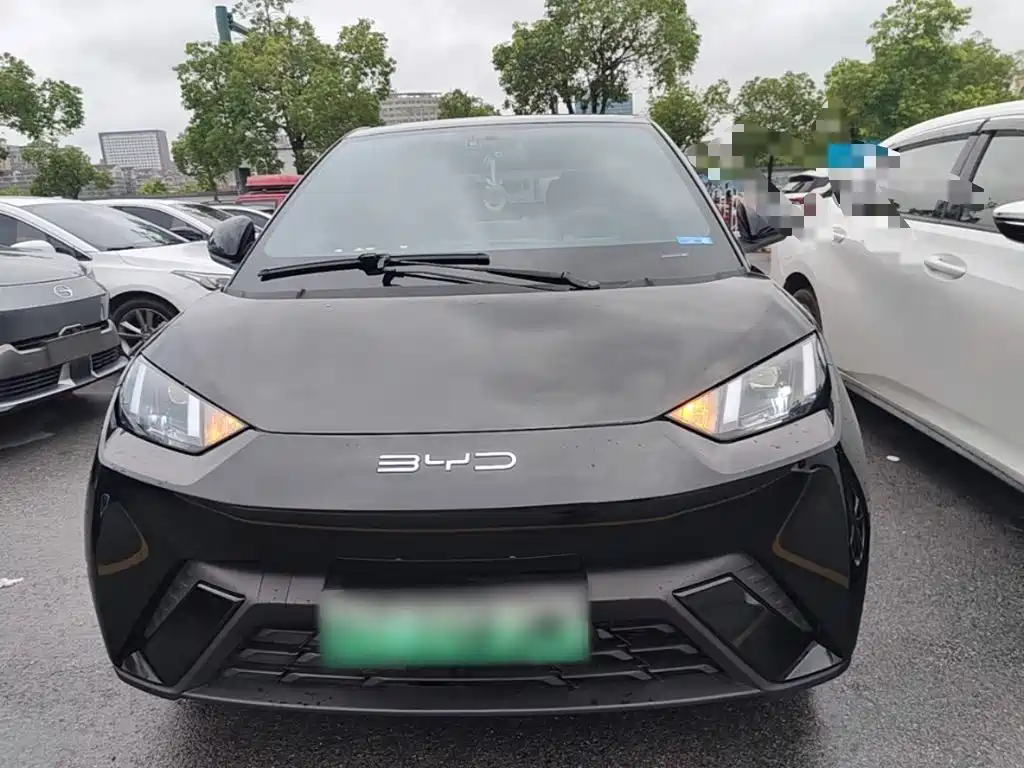 BYD Seagull 2024