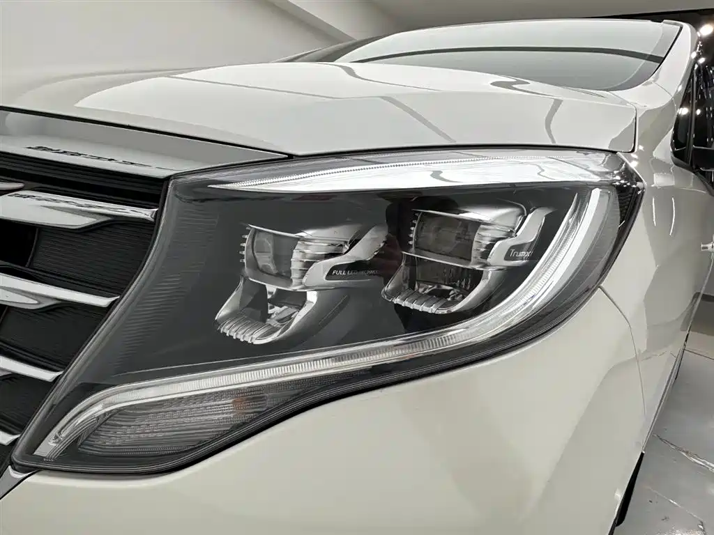 GAC Trumpchi M8 2019 — фото 29