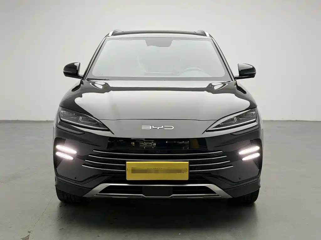 BYD PLUS New Energy 2024 — фото 2