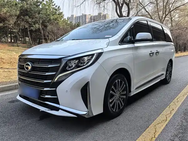 GAC Trumpchi M8 2021