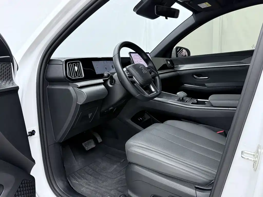 BYD Song Pro New Energy 2025 — фото 4