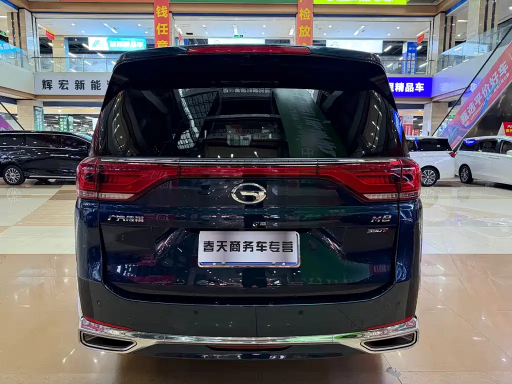 GAC Trumpchi M8 2021 — фото 6