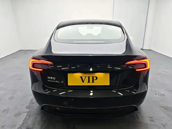 Tesla Model 3 2025