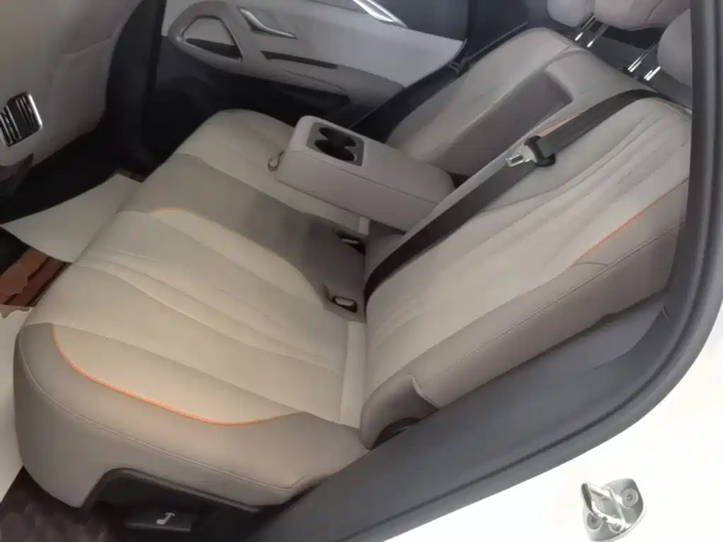 BYD Song Pro New Energy 2024 — фото 17
