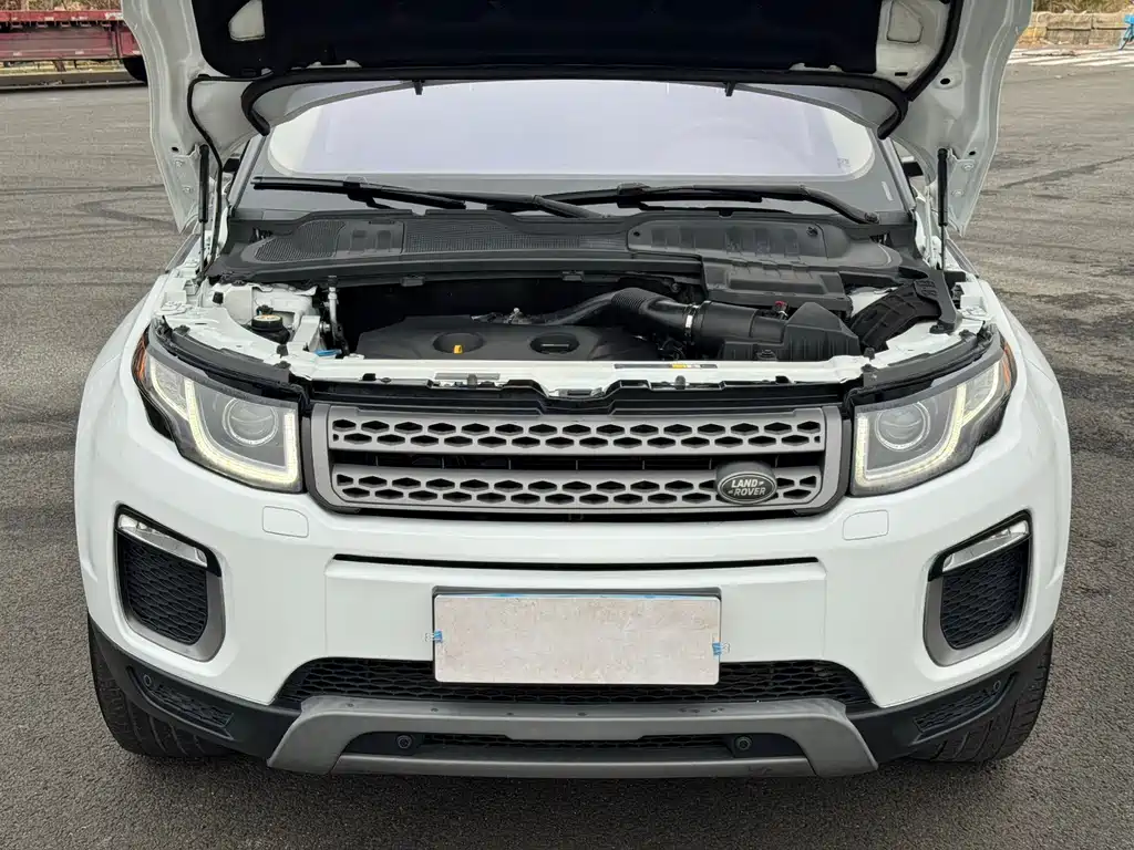 Land Rover Range Rover Evoque 2016 — фото 19