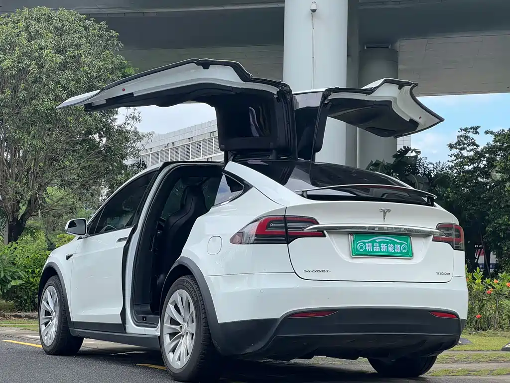 Tesla Model X 2018 — фото 11