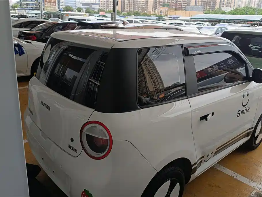 Qiyuan Lumin 2024