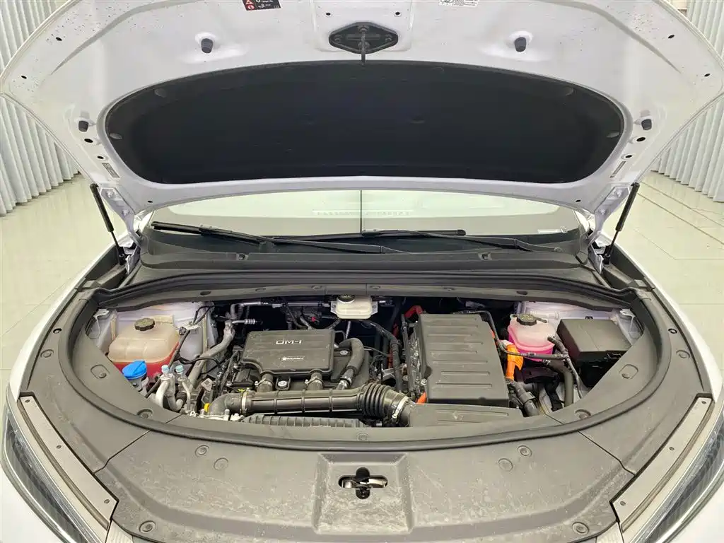 BYD L DM-i 2025 — фото 20
