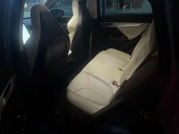 XPeng G3 2019