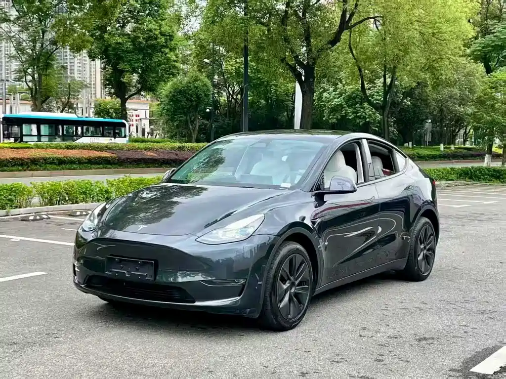 Tesla Model Y 2024 — фото 1