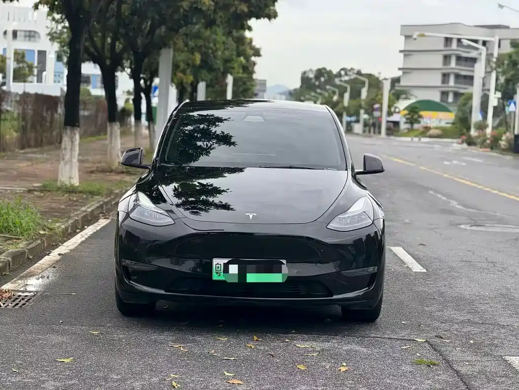 Tesla Model Y 2021 — фото 2