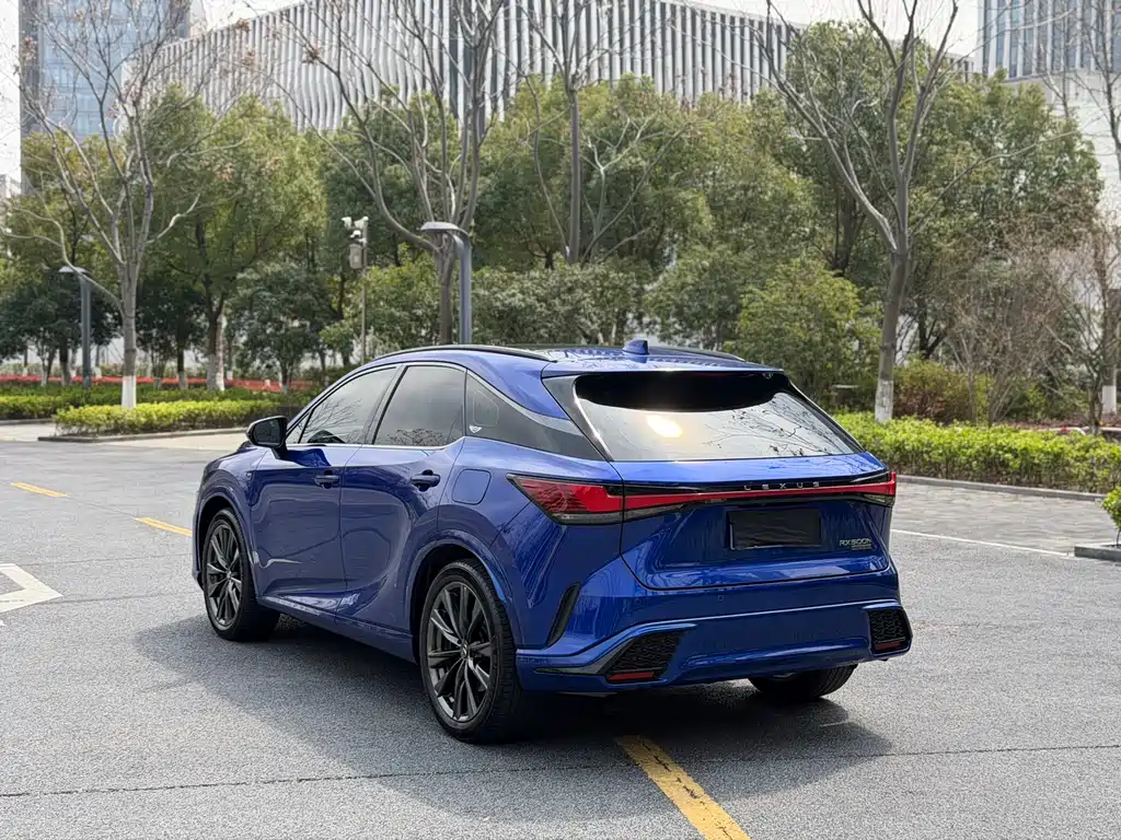 Lexus RX 2023 — фото 15