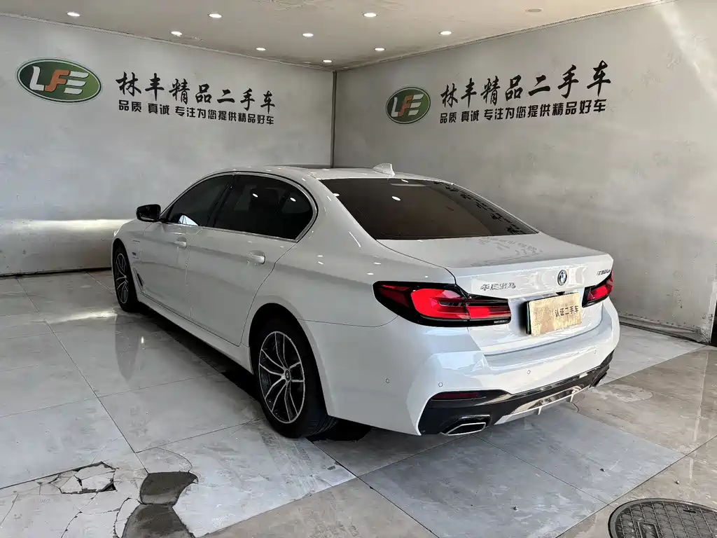 BMW 5 Series New Energy 2022
