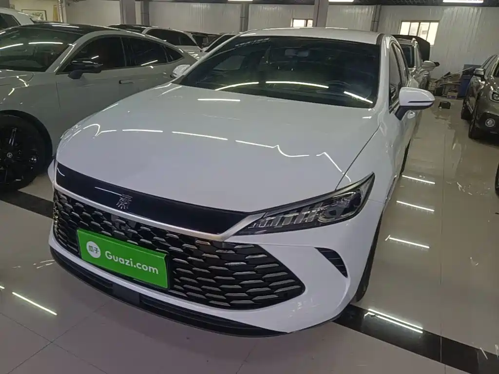 BYD Qin PLUS 2025 — фото 1