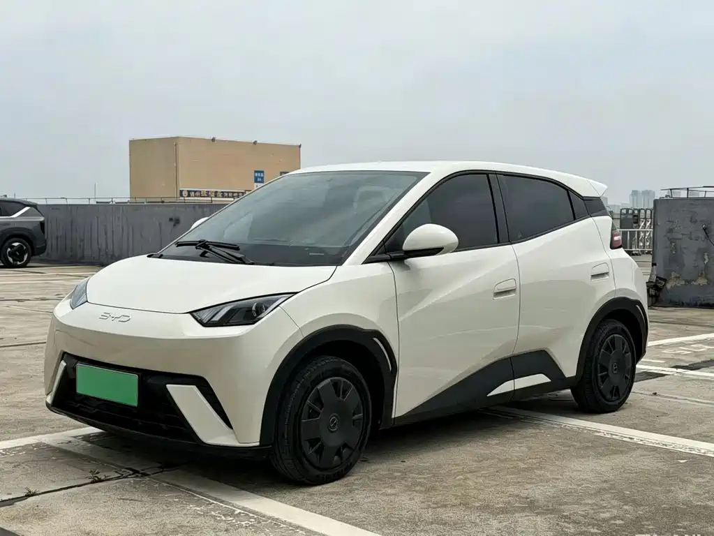 BYD Seagull 2024